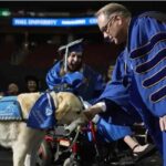 Perrito guía en EU se gradúa junto a su dueña