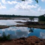 Encuentran cadáver flotando en una laguna de Cancún; fue macheteado