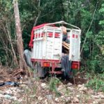 CAMIONETA ACABÓ ENTRE LA MALEZA