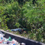 Muere pepenador arrollado por combi en Cancún