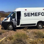 ¡Salvajismo! Matan y despedazan a ecologista en Guerrero