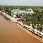 Alerta roja por sargazo en Quintana Roo; llegan hasta 50 toneladas al día