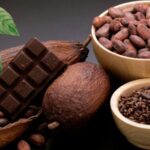 Presentan Festival del Chocolate a países acreditados en México