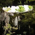 El nuevo trazo del Tren Maya amenaza los cenotes de Quintana Roo: peligran ríos subterráneos, especies y el Mar Caribe