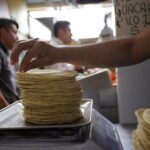 Así ha aumentado el precio de la tortilla en todo México en los últimos 10 años