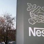 Nestlé busca que 40% del cacao que utiliza en México sea nacional