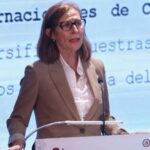 México es visto como socio confiable de EU y Canadá, afirma subsecretaria de Comercio Exterior