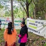 Marchan en el sur de México para pedir la protección a los ecosistemas de agua