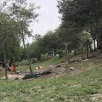 Incendian moradas en campamento de migrantes en México