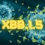 La variante XBB1.5 del coronavirus ya está presente en México