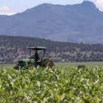 Durango es reconocido en el primer Foro Internacional de Agroindustria