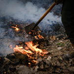 COMBATIENTES FORESTALES DE LA SEMADET PARTICIPAN EN INTERCAMBIO INTERNACIONAL