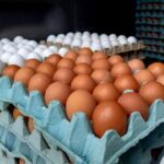 Detecta EUA aumento en volumen de huevos mexicanos decomisados en la frontera