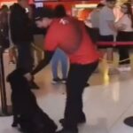 Empleado de Cinemex causa indignación por maltratar a un perro