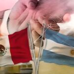 Los argentinos se ilusionan con México