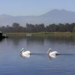 Es reconocida la Ciudad de México a nivel nacional e internacional por mejoras ambientales