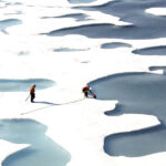 ¡Alerta mundial! El Ártico enfrenta una catástrofe inminente: ¡Todo su hielo podría desaparecer en  10 años!