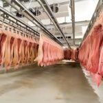 México es ya el primer destino de las exportaciones de carne cerdo de EU