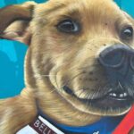 ¡Increíble! El Chicles, el famoso perrito tijuanense se convierte en una leyenda en un impresionante mural