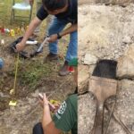 Quintana Roo: imparten curso-taller de ciencias forenses para combatir maltrato animal