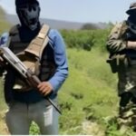 El narcotráfico floreció en México con ayuda del Estado