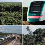 ¿Cuántos árboles se han tirado para la construcción del Tren Maya? Ambientalistas denuncian millones