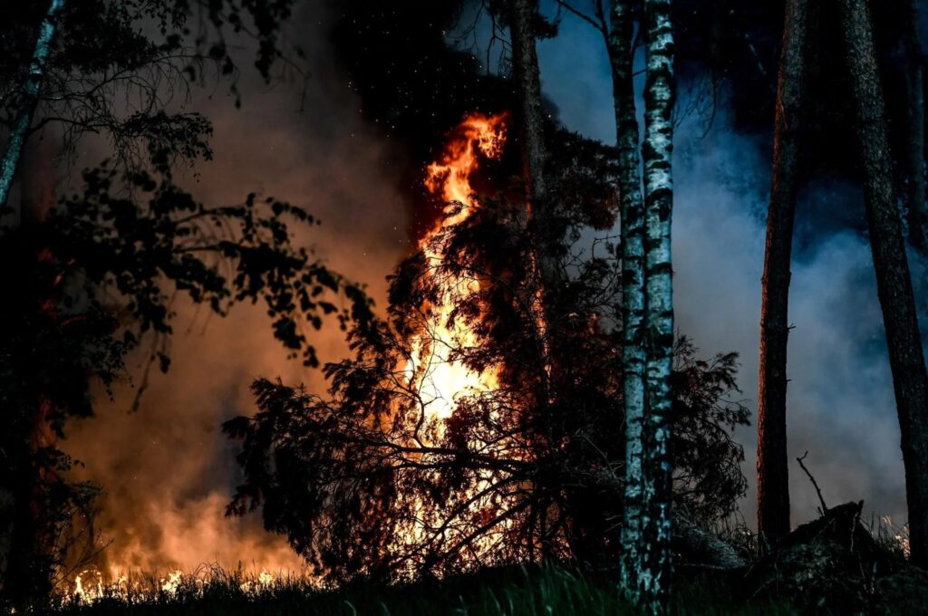 Cambio climático dispara número de muertes por el humo de incendios