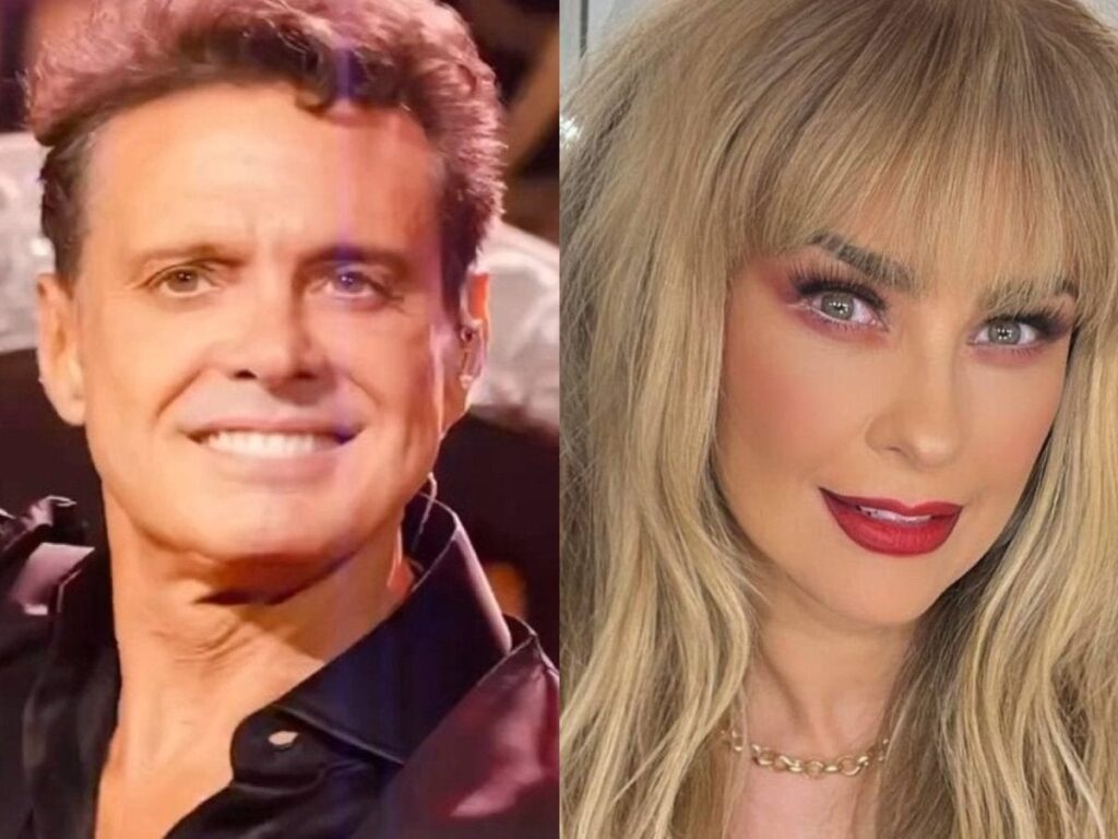 Hijo de Luis Miguel y Aracely Arámbula se lanzaría como cantante el próximo año