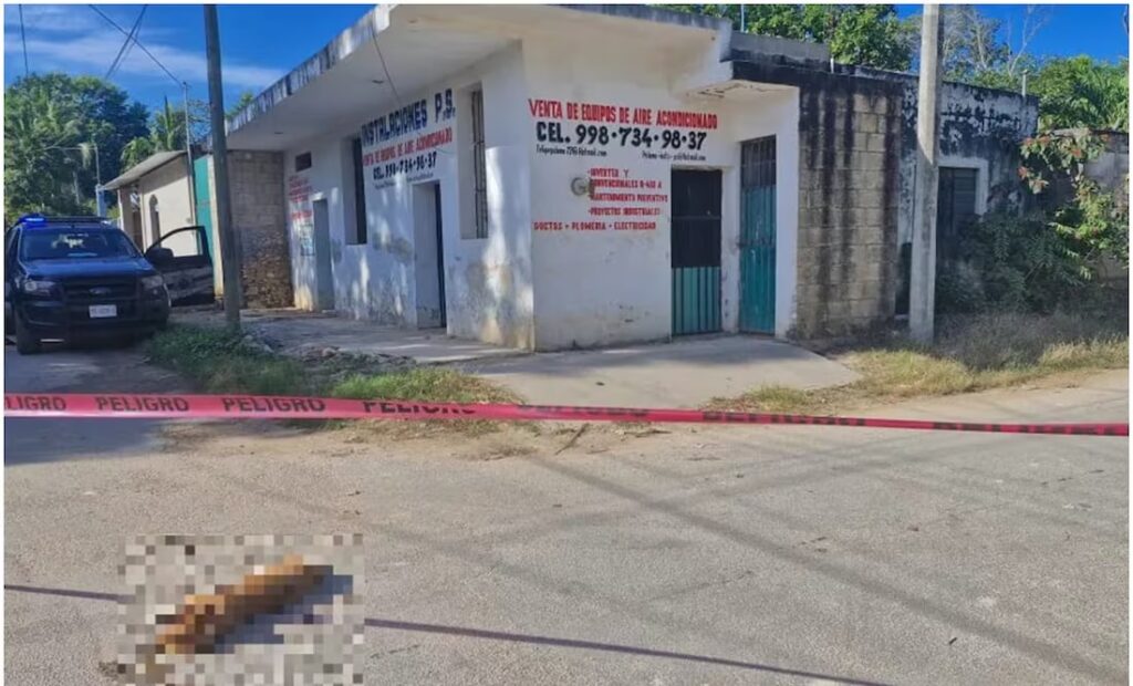 Denuncian envenenamiento de siete perritos en Yucatán