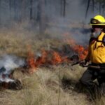 Puebla suma 261 incendios este 2025; registran siniestros urbanos y forestales