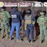 Defensa destruyó 327 plantíos de amapola y mariguana en cinco estados