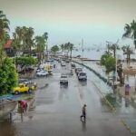 Golpe histórico al crimen organizado: Baja California asegura 20 toneladas de droga