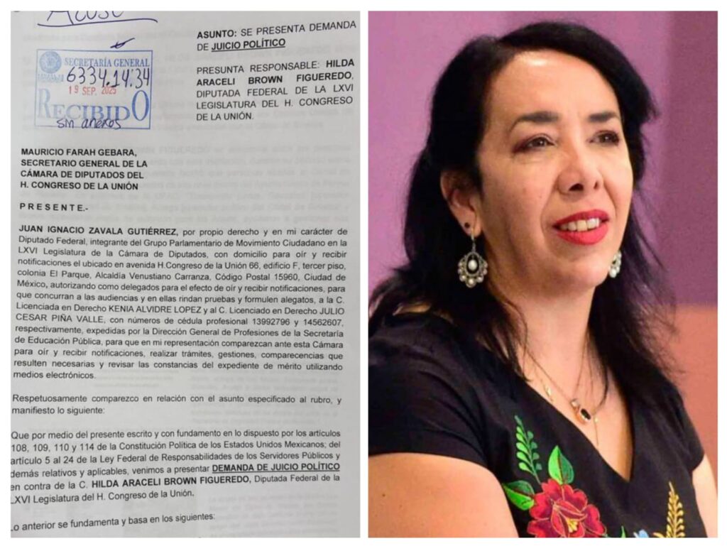Movimiento Ciudadano presenta demanda de juicio político contra diputada Hilda Araceli Brown