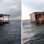 Hallan al restaurante «El Atracadero» flotando en la costa, tras ser arrastrado por el río Tuxpan