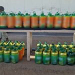 Decomisan mil 67 litros de metanfetamina oculta en bidones de limpiador en Sonora