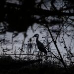 Por derrame de crudo, vecinos de Álamo temen daños a su salud