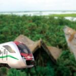 Ruta de Puerta al Mar, proyecto ferroviario que conectará con el Tren Maya en Quintana Roo