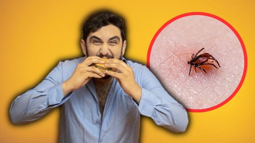 Hombre pierde la vida por comer una hamburguesa; una garrapata fue la responsable