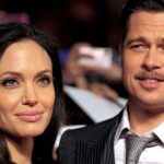 Brad Pitt demandó a Angelina Jolie por 35 millones de dólares en concepto de daños, según People