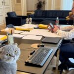 El nuevo fenómeno viral de Bélgica tiene cuatro patas y vive con el primer ministro