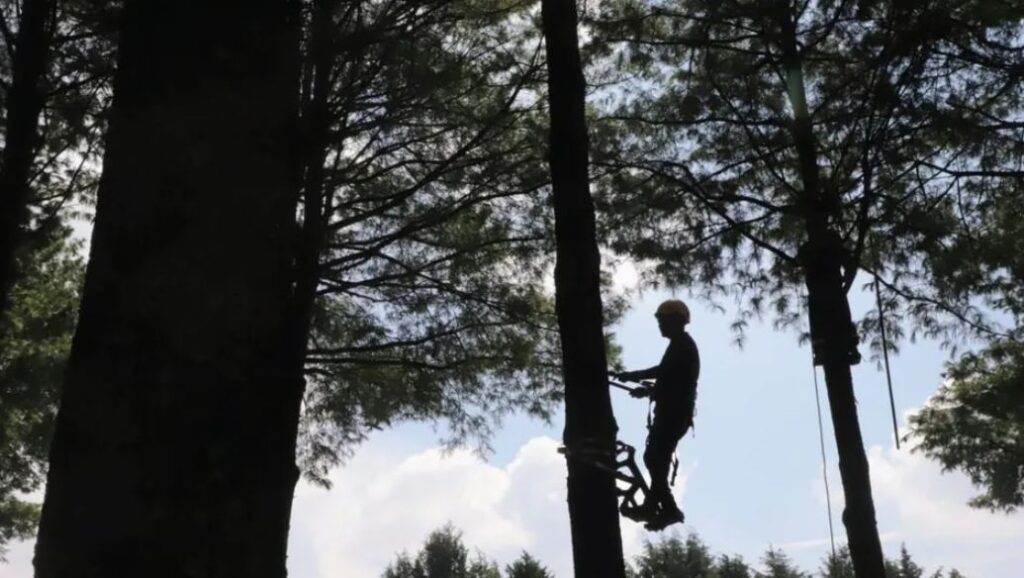 “Bosque Escuela”, educación ambiental con enfoque innovador en el Estado de México