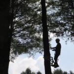 “Bosque Escuela”, educación ambiental con enfoque innovador en el Estado de México