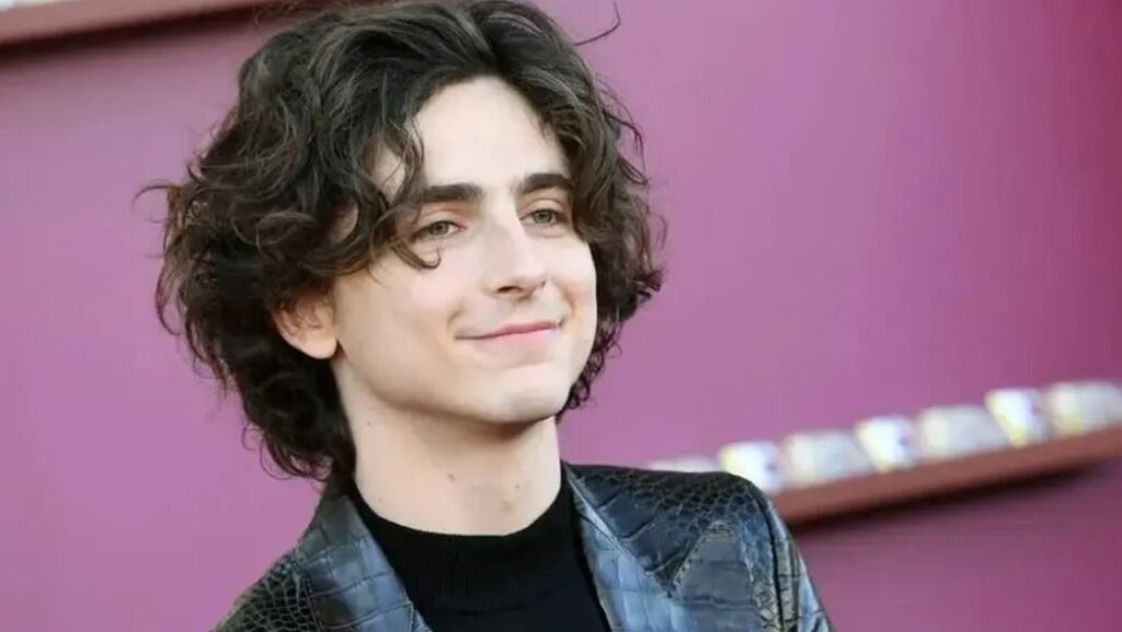 Timothée Chalamet desata críticas tras menospreciar el ballet y la ópera en evento público