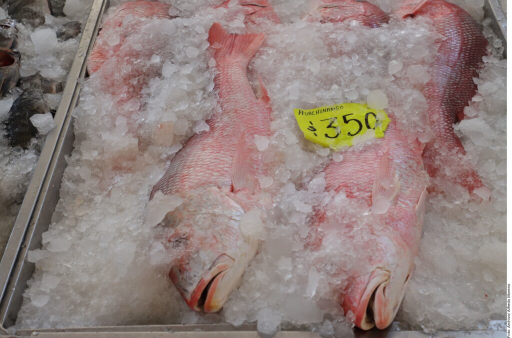 Alertan fraude en peso de pescado importado; hasta 40 % podría ser agua añadida