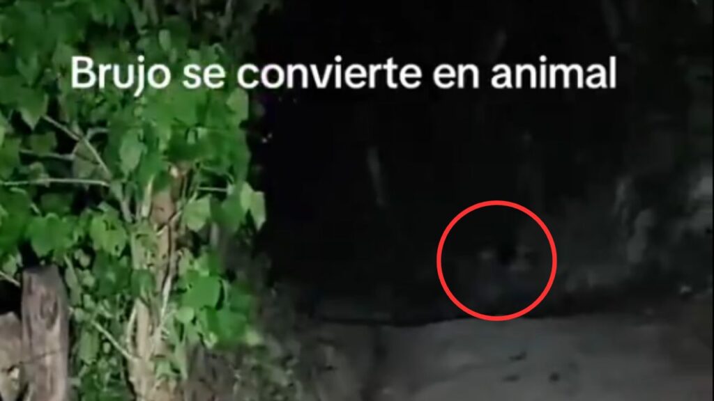 Tiktoker asegura haber tenido un encuentro con “brujo” en Izalco y se vuelve viral en redes