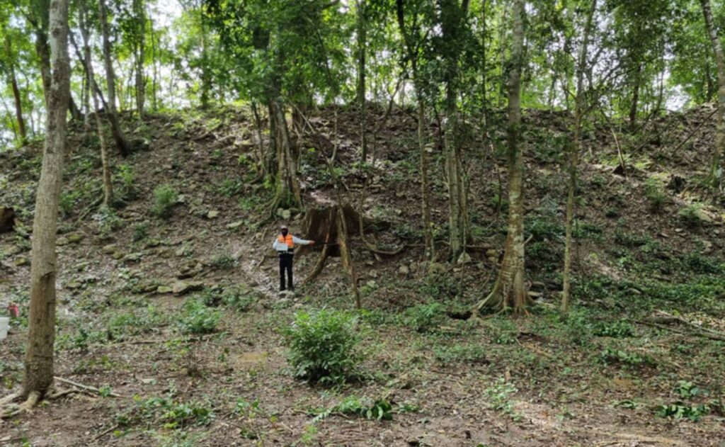 Pobladores revelan sitio maya El Jefeciño en Quintana Roo