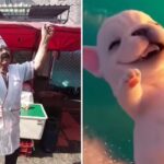 Taquero mexicano se vuelve viral por imitar al perrito ‘Pibble’; usuarios quieren ir a comprarle