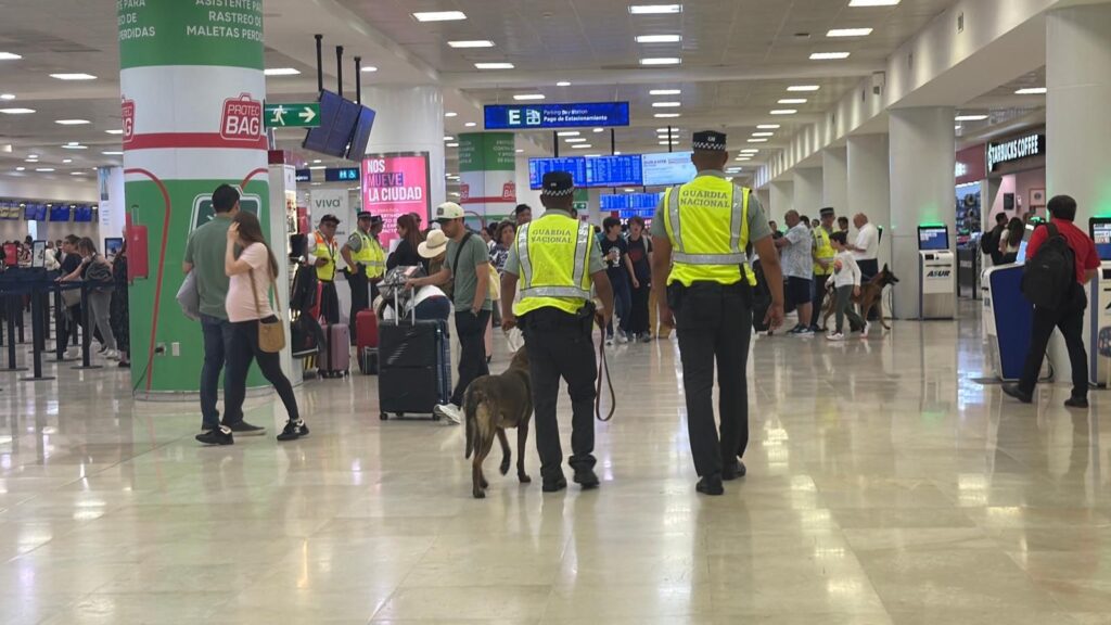 Binomio canino detecta más de 12 kilos de aparente cocaína en el Aeropuerto de Cancún