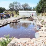 Festival Etnobiológico Tlaxcalan: conoce plantas, hongos y saberes tradicionales de Tlaxcala