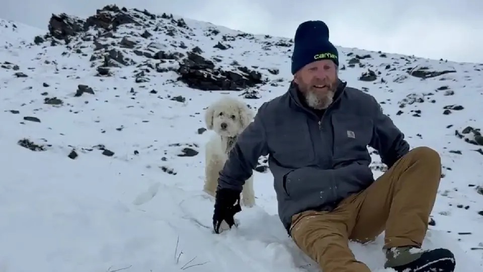 Rescatan con vida a perrita tras 50 horas desaparecida en Alaska